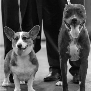 Meet your Posher, Shauna